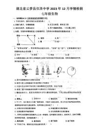 湖北省云梦县伍洛中学2023-2024学年七年级上学期12月学情检测生物试题