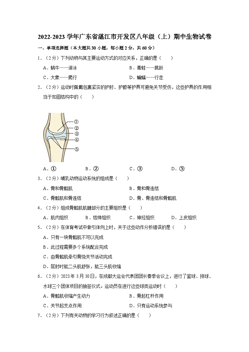 2022-2023学年广东省湛江市开发区三校联考八年级（上）期中生物试卷第1页