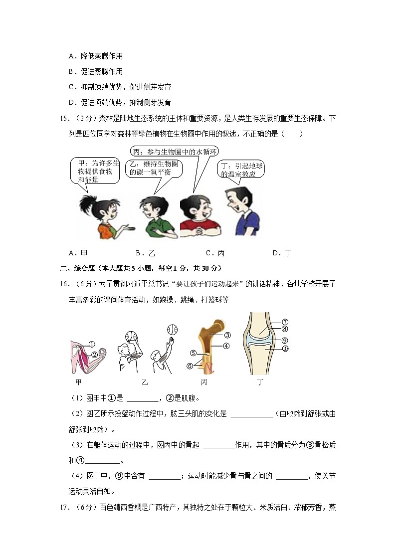 2023-2024学年广西百色市右江区三大集团八年级（上）期中生物试卷03