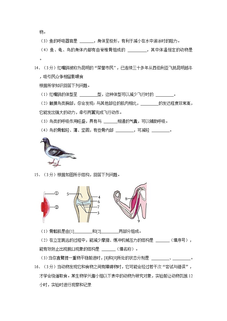 2023-2024学年辽宁省营口市大石桥市协作校八年级（上）期中生物试卷03