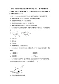 2023-2024学年陕西省西安市爱知中学八年级（上）期中生物试卷