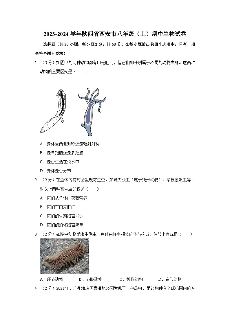 2023-2024学年陕西省西安市高新三中八年级（上）期中生物试卷第1页