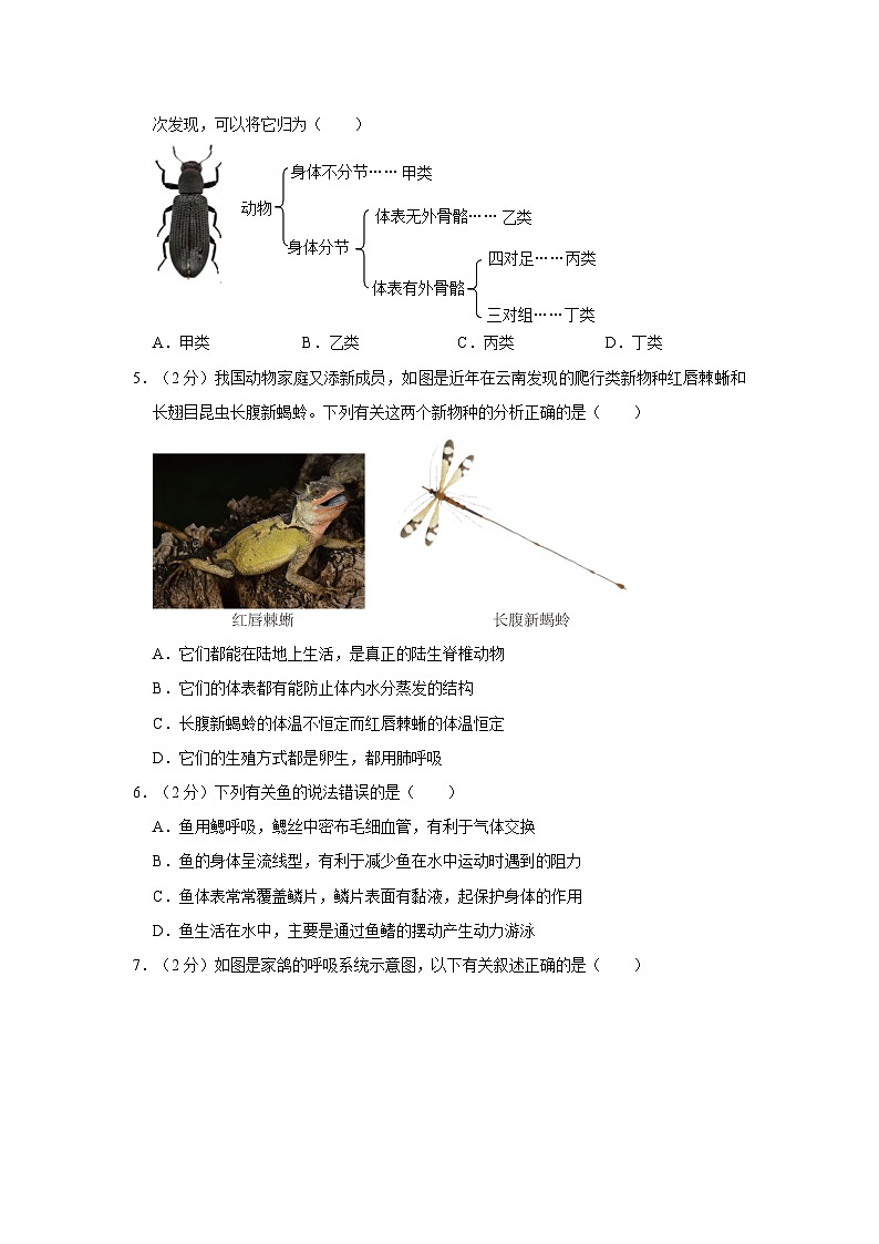 2023-2024学年陕西省西安市高新三中八年级（上）期中生物试卷第2页