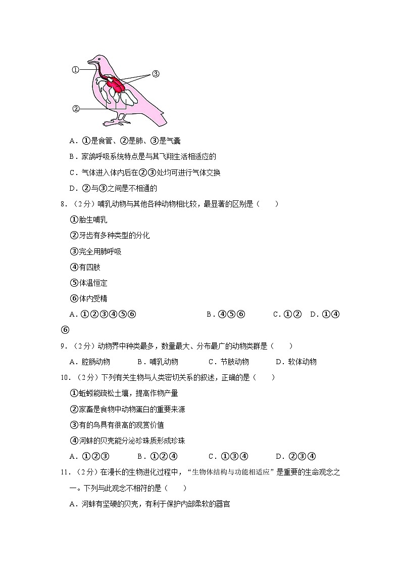 2023-2024学年陕西省西安市高新三中八年级（上）期中生物试卷第3页
