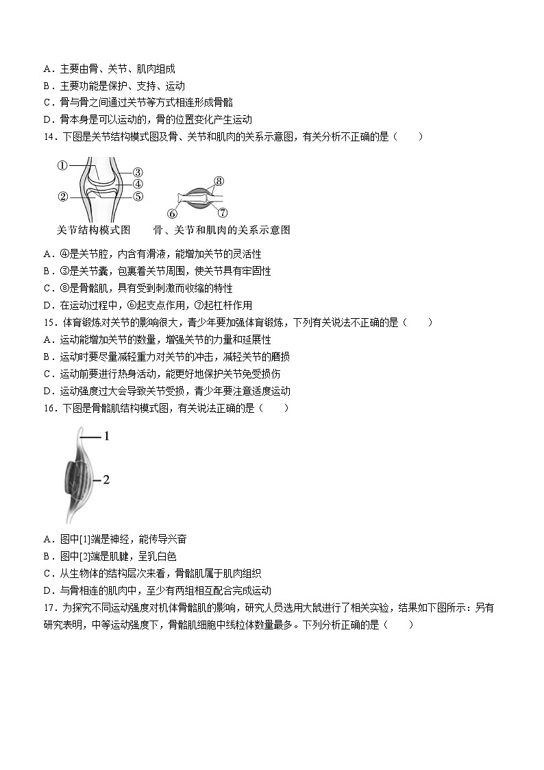 陕西省咸阳市实验中学2022-2023学年八年级上学期第二次月考生物试题第3页