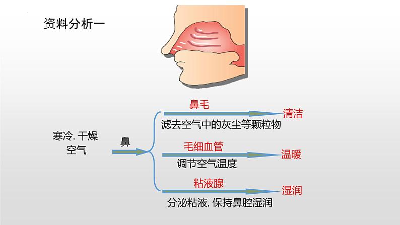 中考一轮复习课件《人体的代谢-人体的呼吸》课件第3页