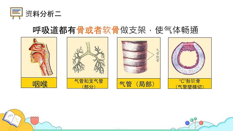 中考一轮复习课件《人体的代谢-人体的呼吸》课件第4页