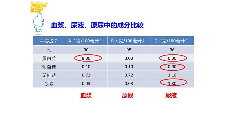 中考一轮复习《人的代谢-人体内废物的排出》课件第8页