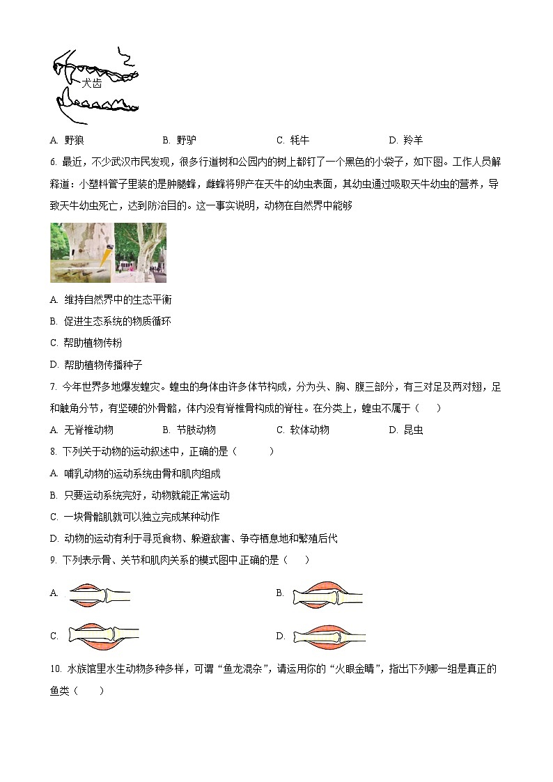 湖南省郴州市汝城县2023-2024学年八年级上学期期中生物试题02