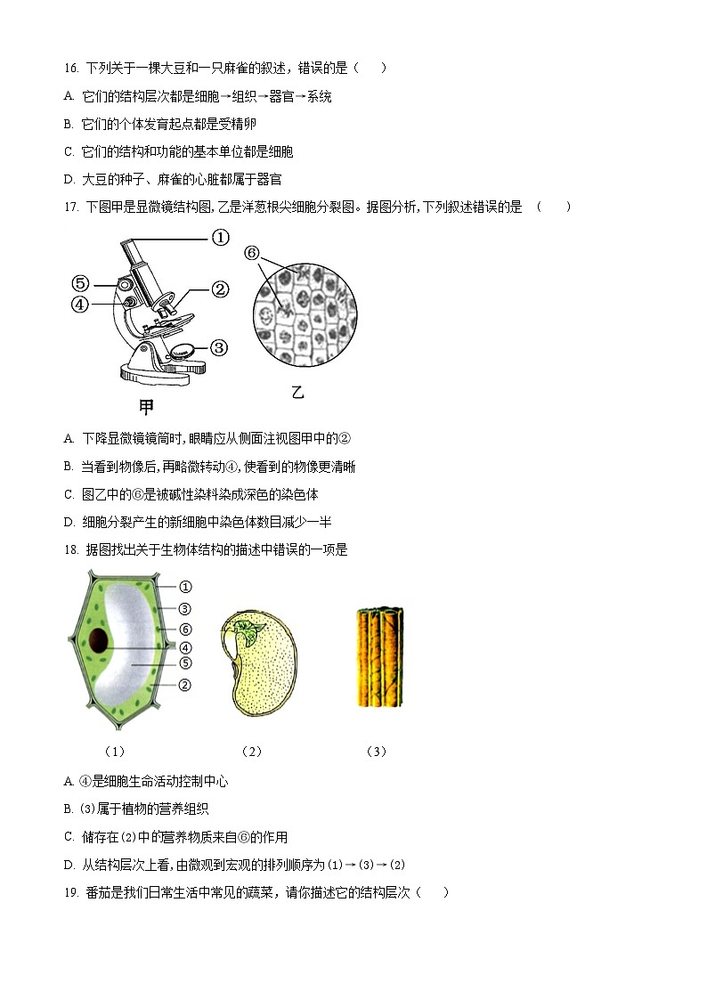 湖南省郴州市汝城县2023-2024学年七年级上学期期中生物试题03