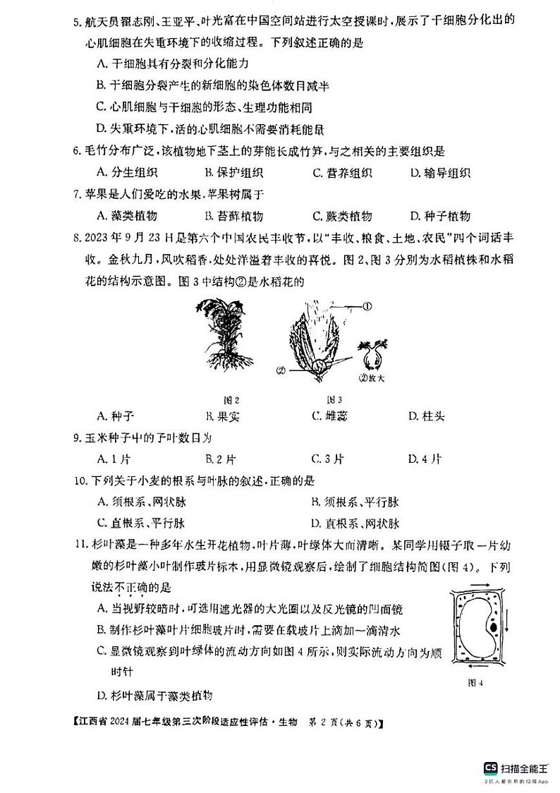 江西省吉安市吉安县城北中学2023-2024学年七年级上学期12月月考生物试题02