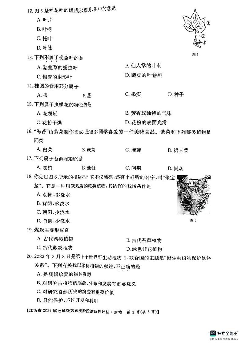 江西省吉安市吉安县城北中学2023-2024学年七年级上学期12月月考生物试题03
