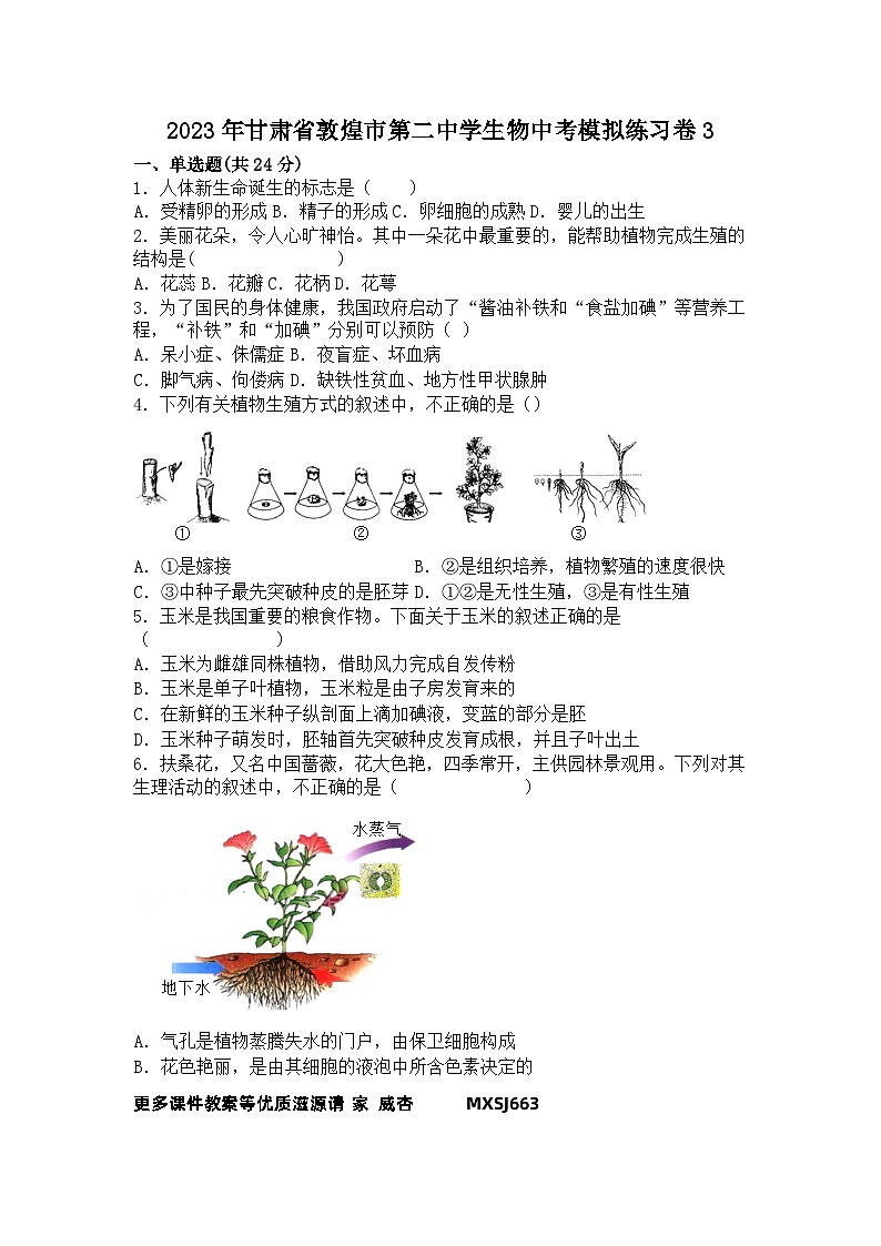 2023年甘肃省敦煌市第二中学中考模拟生物练习卷3第1页