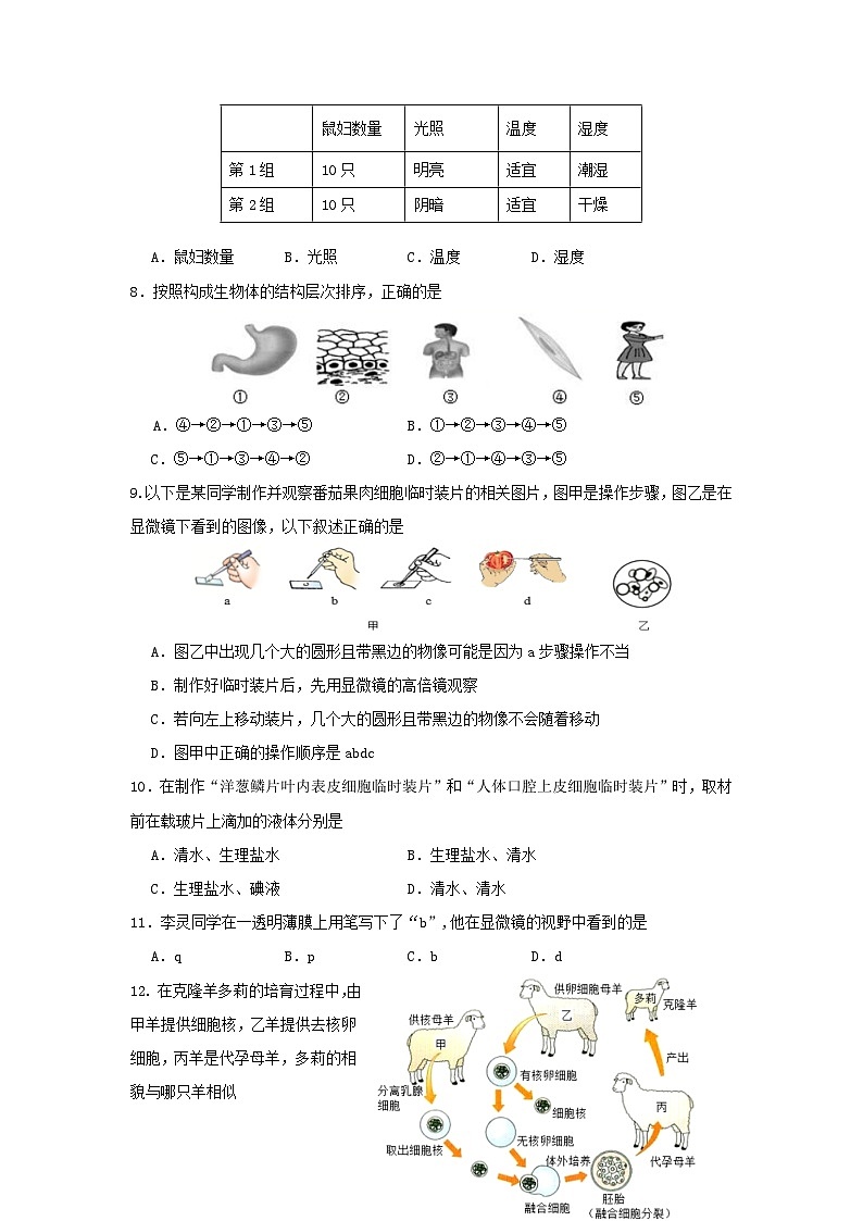 2021-2022学年天津市红桥区七年级上册期末生物试卷及答案02