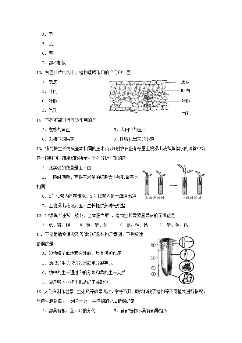 2021-2022学年天津市红桥区七年级上册期末生物试卷及答案03
