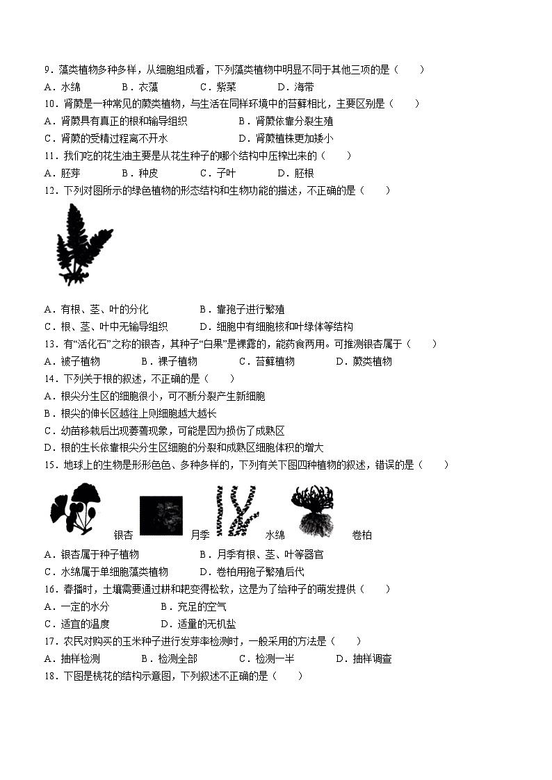 河南省南阳市唐河县2023-2024学年七年级上学期第三次月考生物试题02
