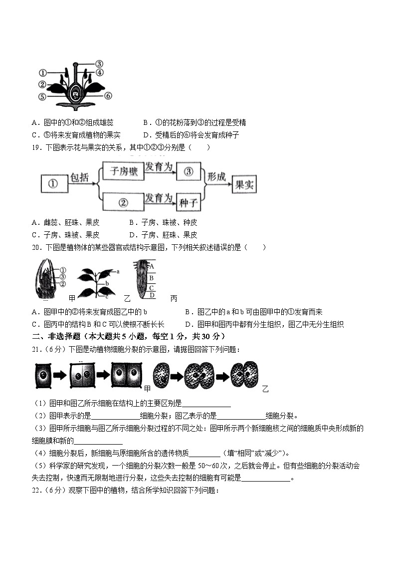 河南省南阳市唐河县2023-2024学年七年级上学期第三次月考生物试题03