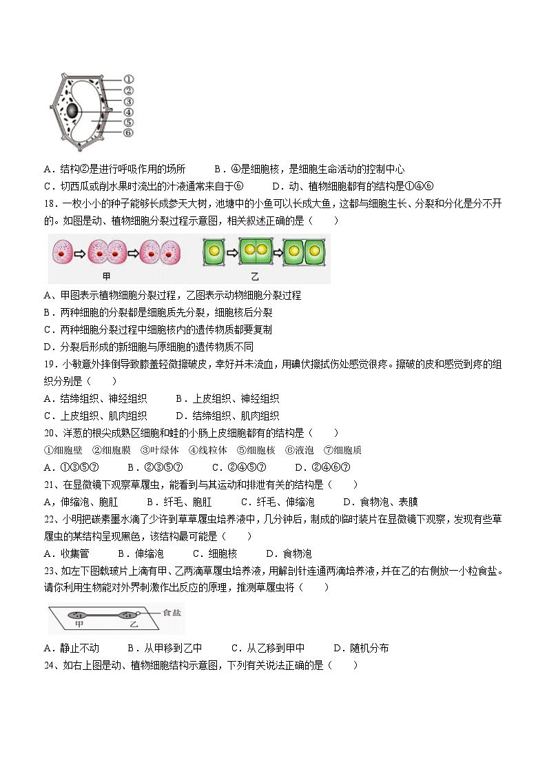 江苏省盐城市射阳外国语学校2023-2024学年七年级上学期期中考试生物试卷第3页