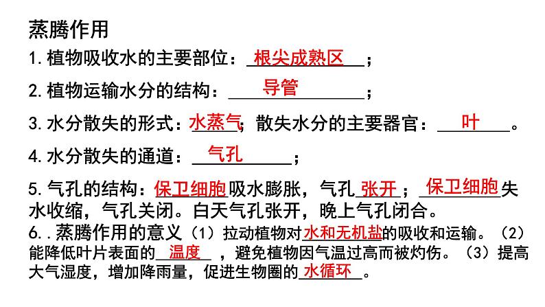 人教版七年级生物上册《绿色植物的三大生理作用》单元复习课件第3页