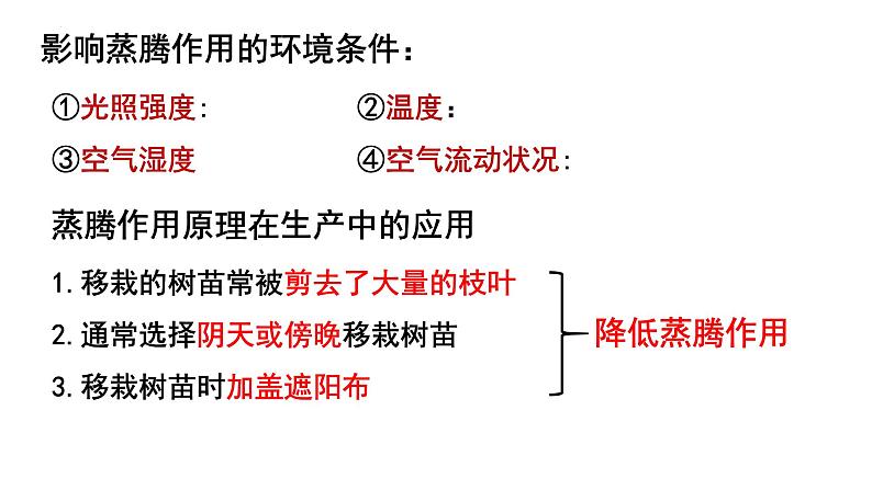 人教版七年级生物上册《绿色植物的三大生理作用》单元复习课件第7页