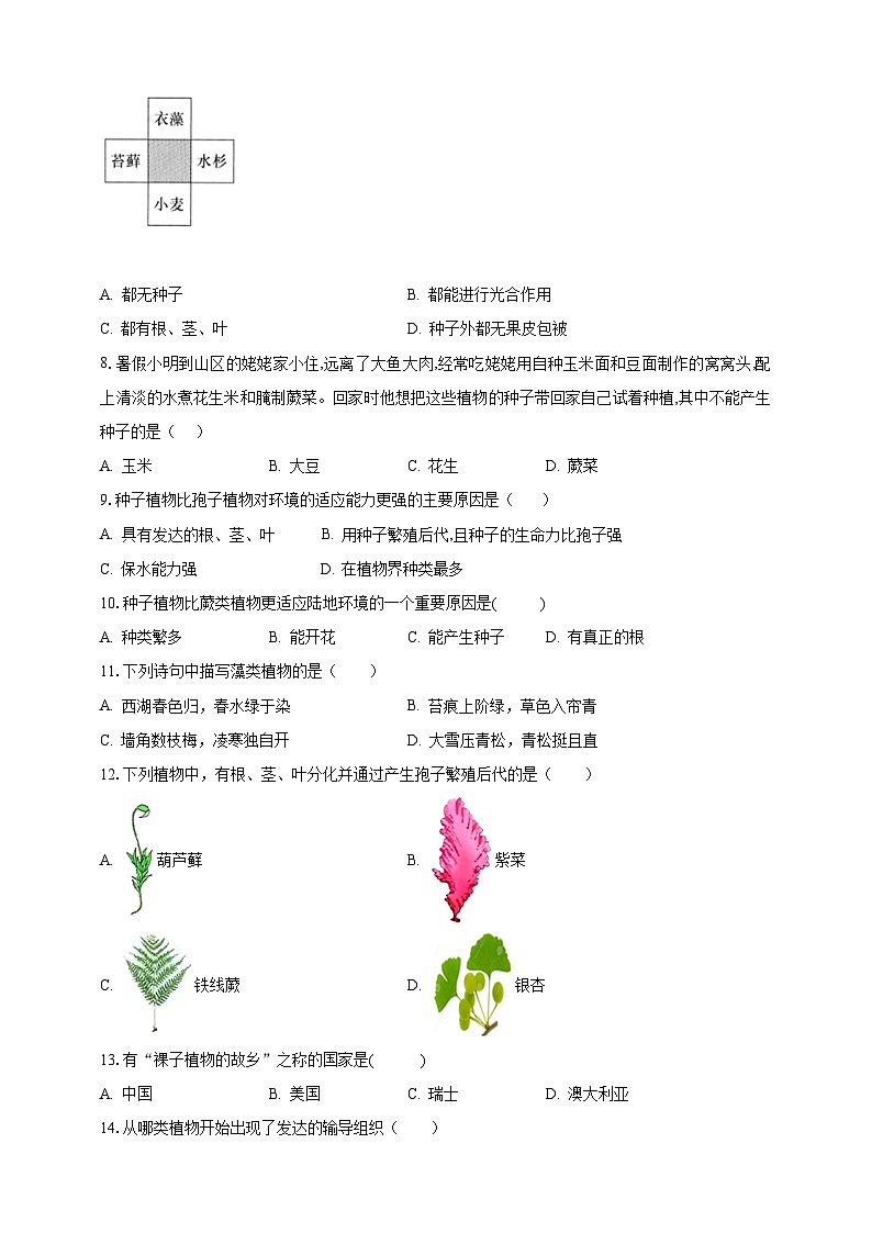 【期末复习】人教版 初中生物 七年级上册期末复习第三单元第一章素养检测试题（原卷 解析卷）.zip02