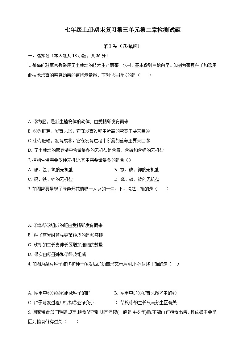 【期末复习】人教版 初中生物 七年级上册期末复习第三单元第二章素养检测试题（原卷 解析卷）.zip01