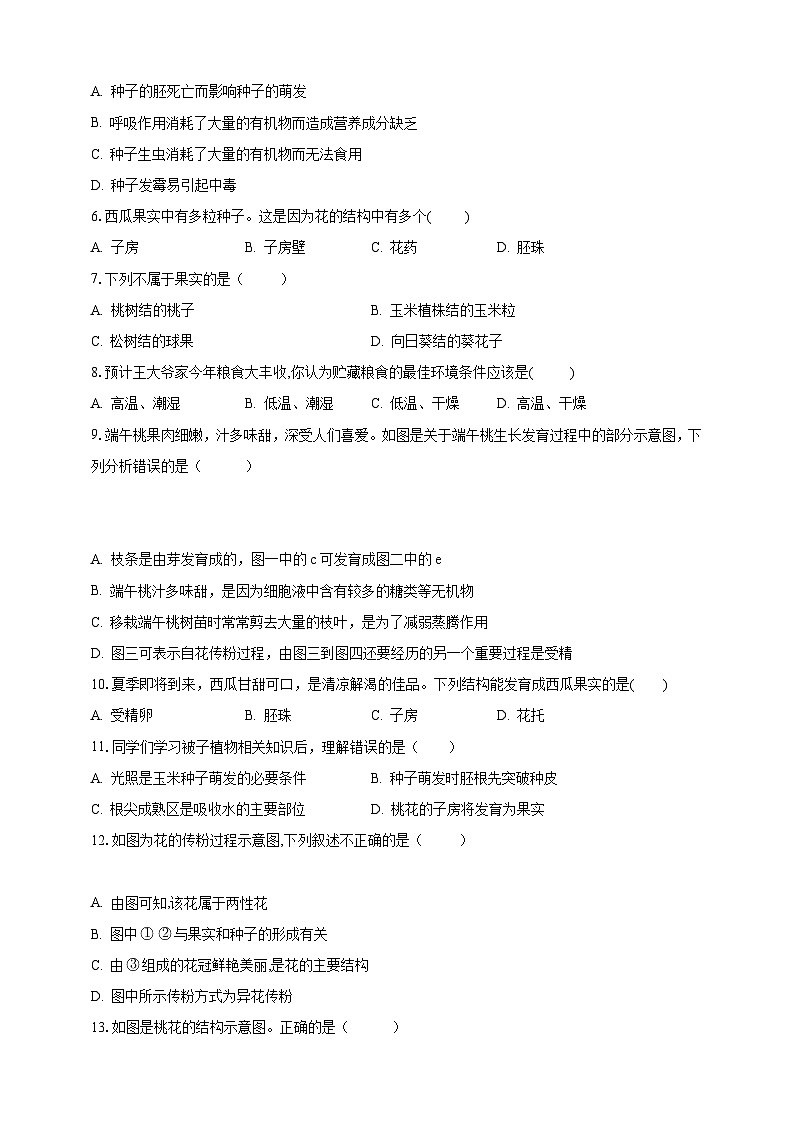 【期末复习】人教版 初中生物 七年级上册期末复习第三单元第二章素养检测试题（原卷 解析卷）.zip02