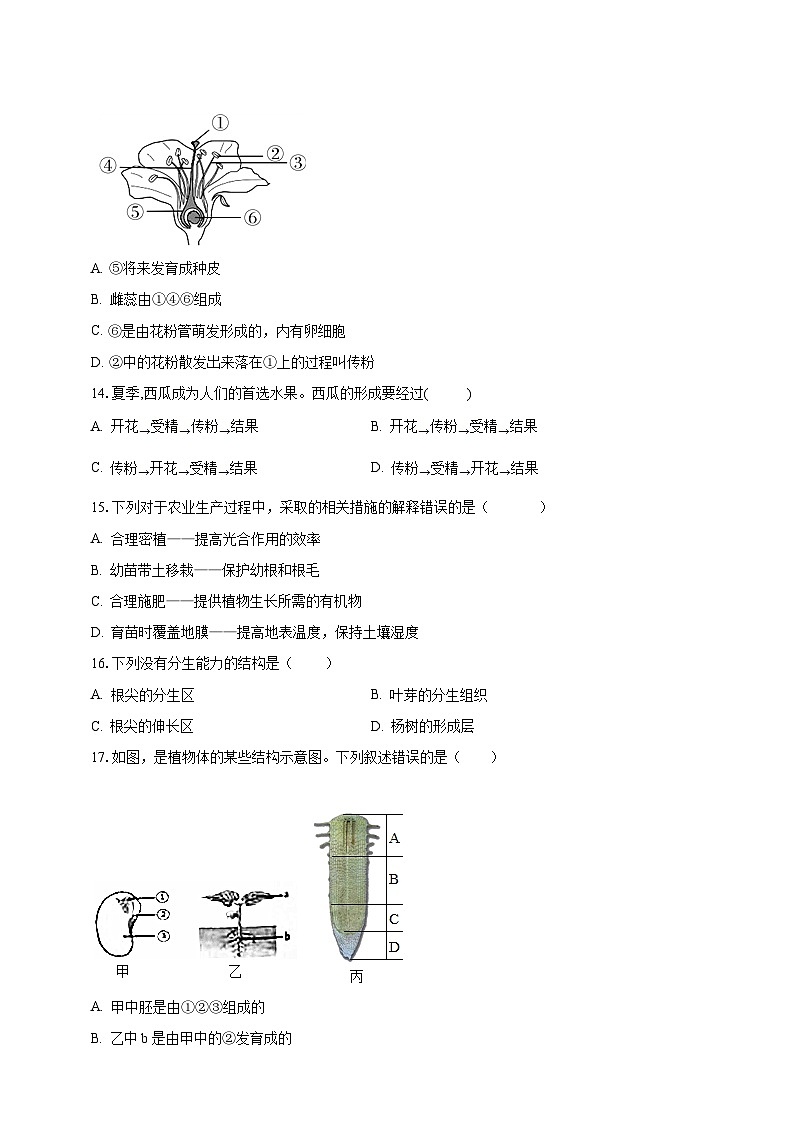 【期末复习】人教版 初中生物 七年级上册期末复习第三单元第二章素养检测试题（原卷 解析卷）.zip03