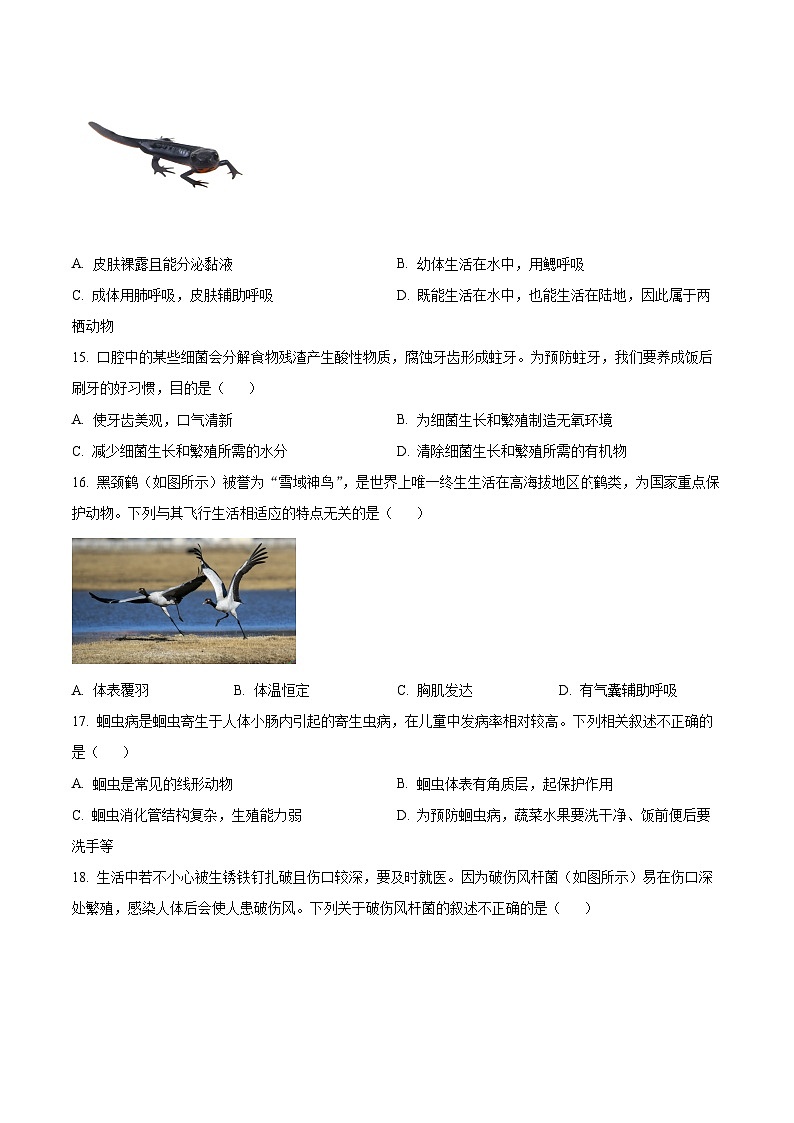 山西省晋中市2022-2023学年八年级上学期期末生物试题第3页