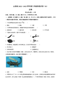 山西省吕梁市2022-2023学年八年级上学期期中生物试题