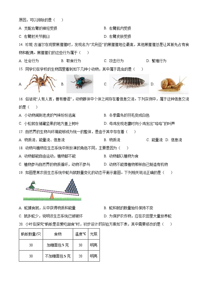 山西省太原市2022-2023学年八年级上学期期中生物试题03