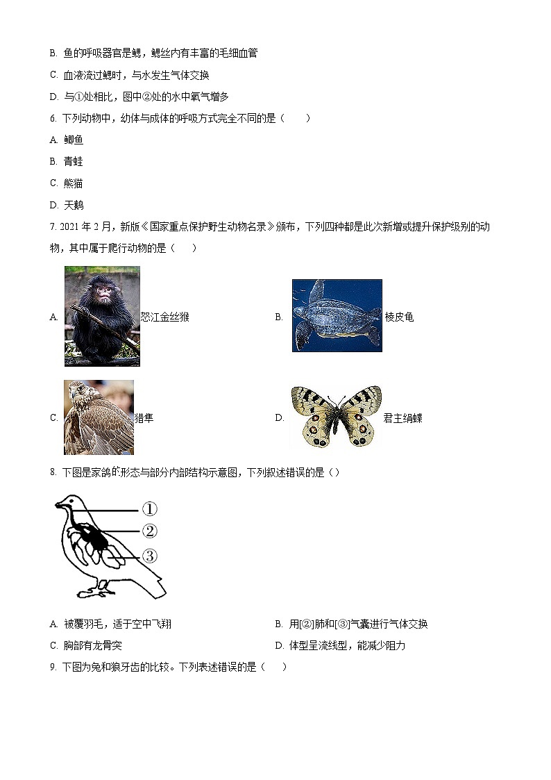 陕西省西安市2022-2023学年八年级上学期期末生物试题02