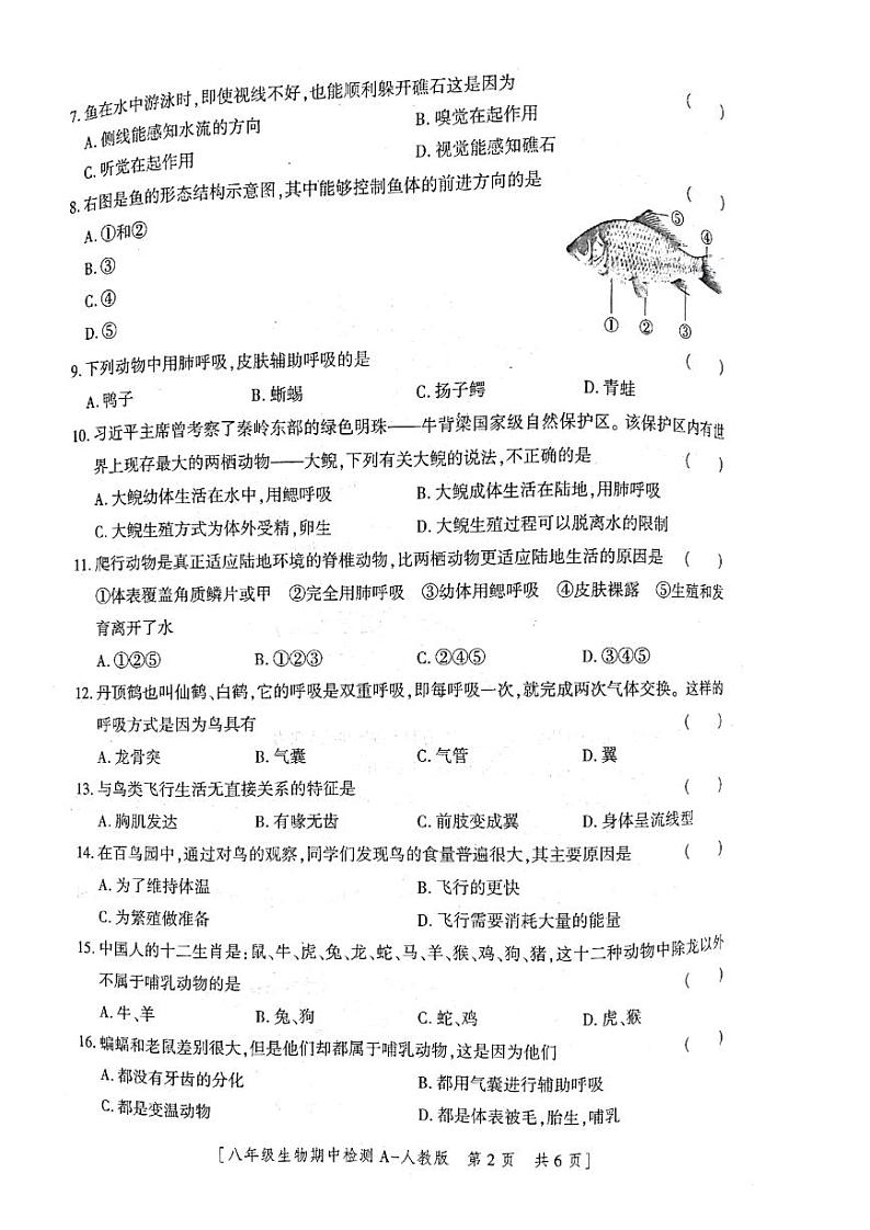 陕西省西安市第七十中学2022-2023学年八年级上学期期中生物试题第2页