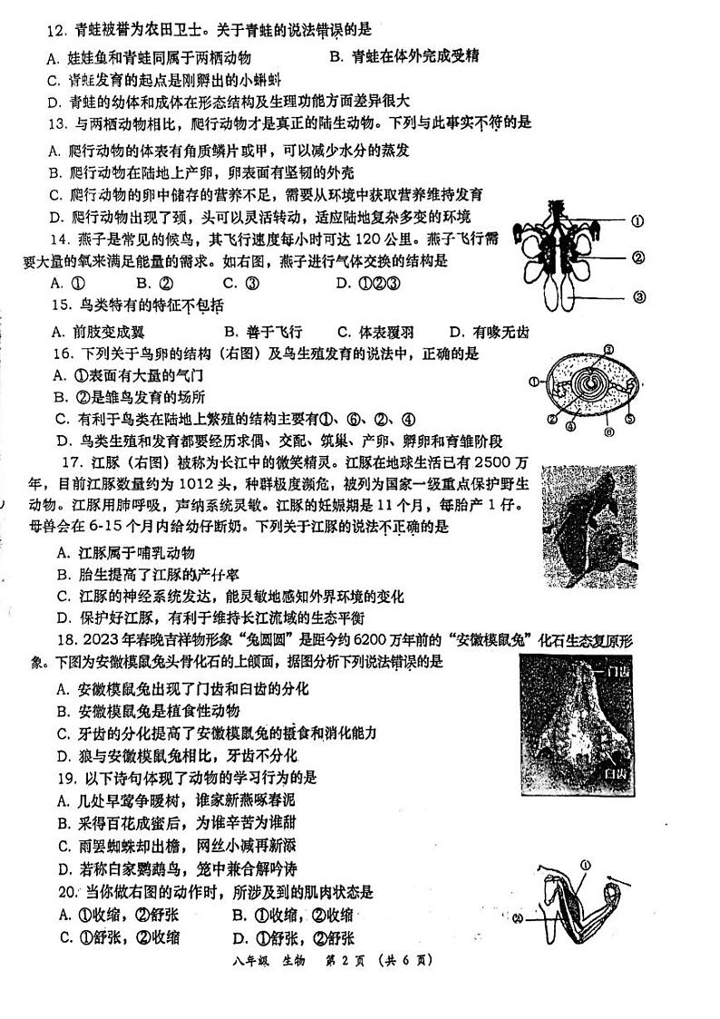 陕西省西安市高新第一学校2022-2023学年八年级上学期期末考试生物试题第2页