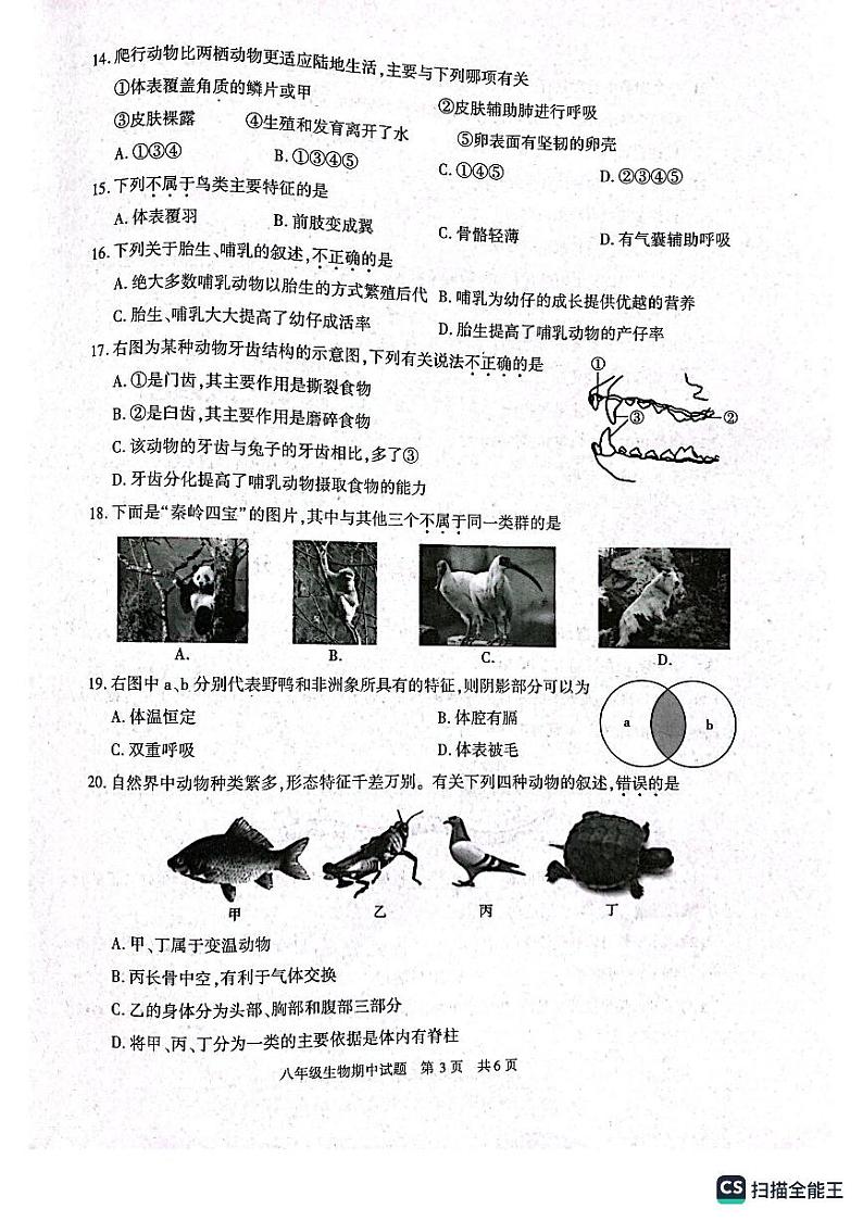 陕西省西安市长安区2022-2023学年八年级上学期期中生物试卷第3页