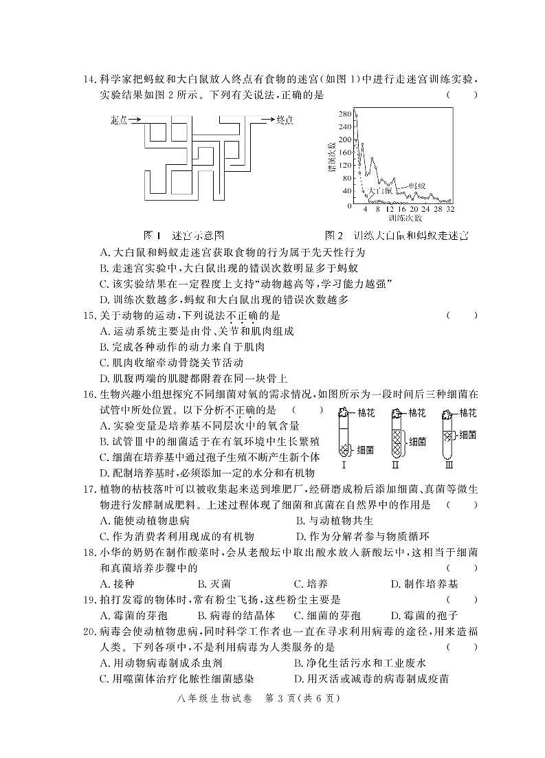 河南省郑州市第四十七初级中学2022-2023学年八年级上学期11月期中生物试题第3页