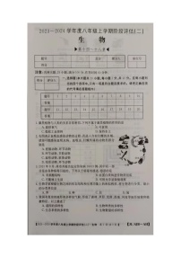 安徽省滁州市凤阳县官塘中学2023-2024学年八年级上学期12月月考生物试题