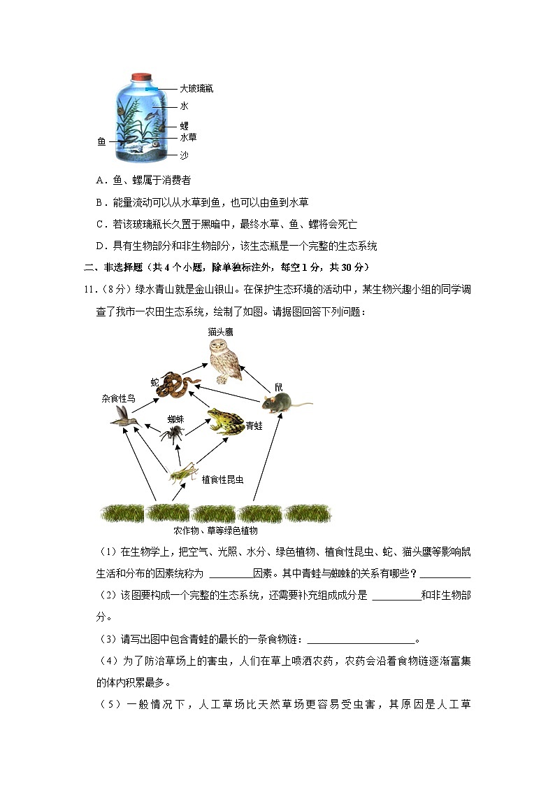 湖北省黄冈市麻城市部分学校2023-2024学年七年级上学期期中生物试卷第3页