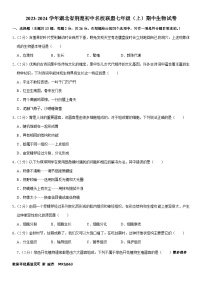 湖北省荆楚初中名校联盟2023-2024学年七年级上学期期中生物试卷