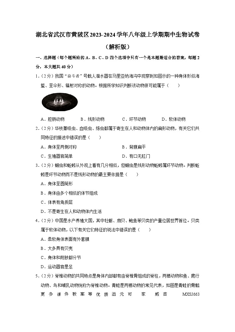 湖北省武汉市黄陂区2023-2024学年八年级上学期期中生物试卷第1页