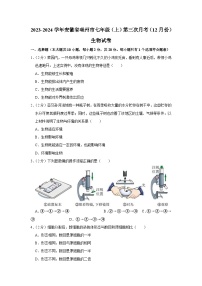 安徽省亳州市2023-2024学年七年级上学期第三次月考生物试卷（12月份）