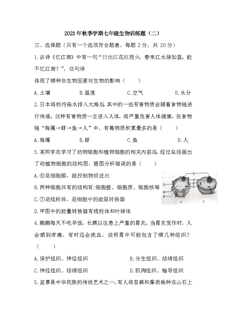 湖北省黄冈市武穴市第四实验中学教联体2023-2024学年七年级上学期12月月考生物试题第1页