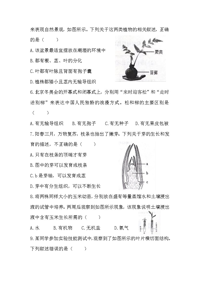 湖北省黄冈市武穴市第四实验中学教联体2023-2024学年七年级上学期12月月考生物试题第2页