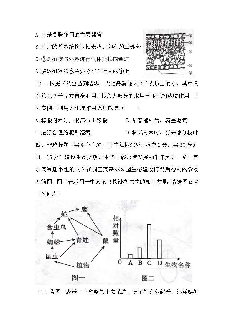 湖北省黄冈市武穴市第四实验中学教联体2023-2024学年七年级上学期12月月考生物试题第3页