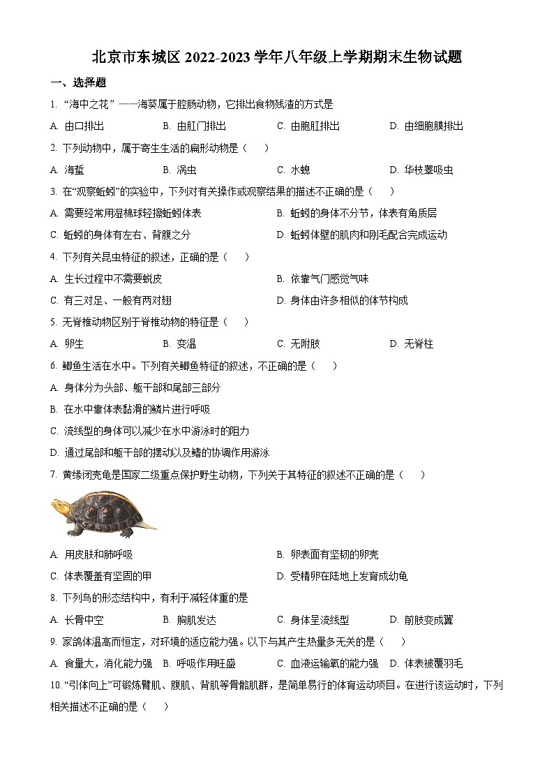 北京市东城区2022-2023学年八年级上学期期末生物试题01