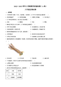 福建省漳州市2022-2023学年八年级上学期期末（A）生物试题