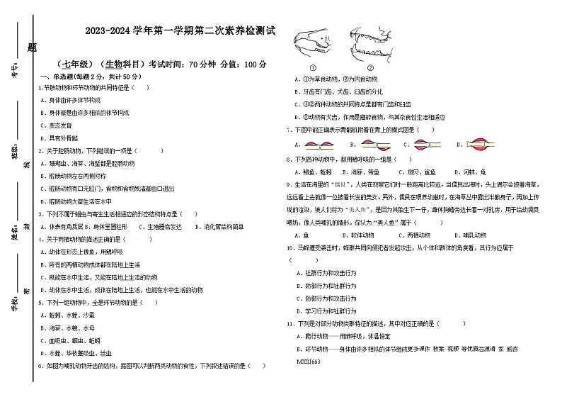 山东省禹城市大禹实验学校2023-2024学年七年级上学期第二次月考生物试题第1页
