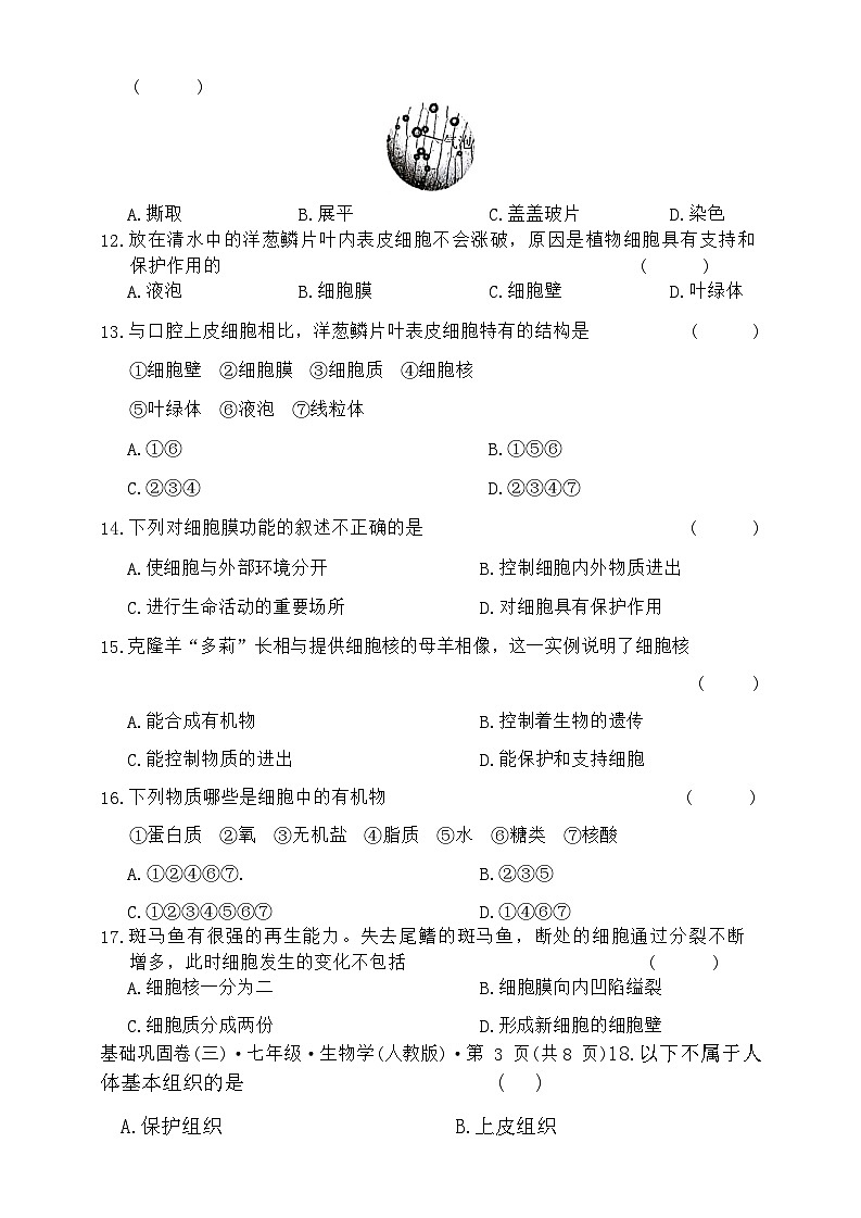 云南省昭通市巧家县大寨中学2023-2024学年七年级上学期12月月考生物试题03