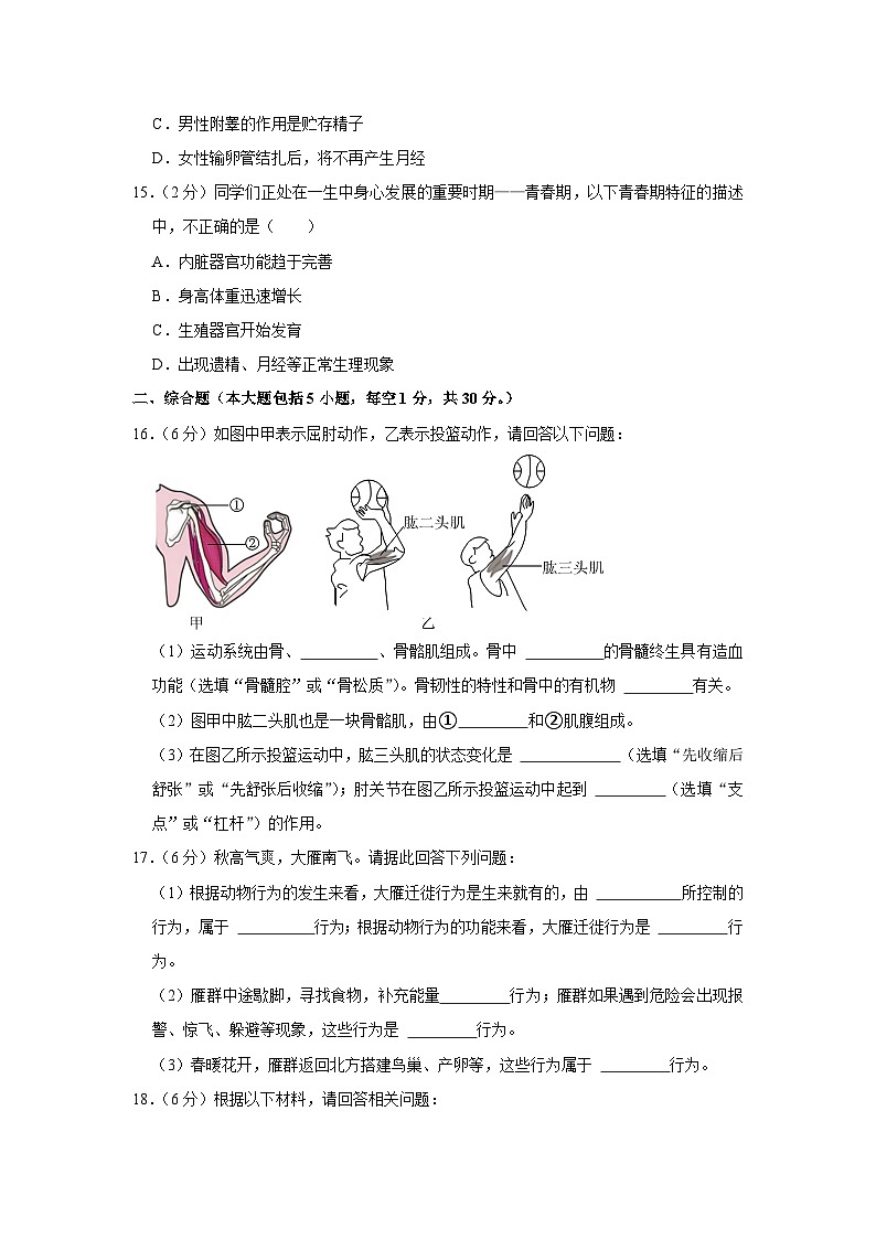 广西贵港市桂平市2023-2024学年八年级上学期期中生物试卷+第3页