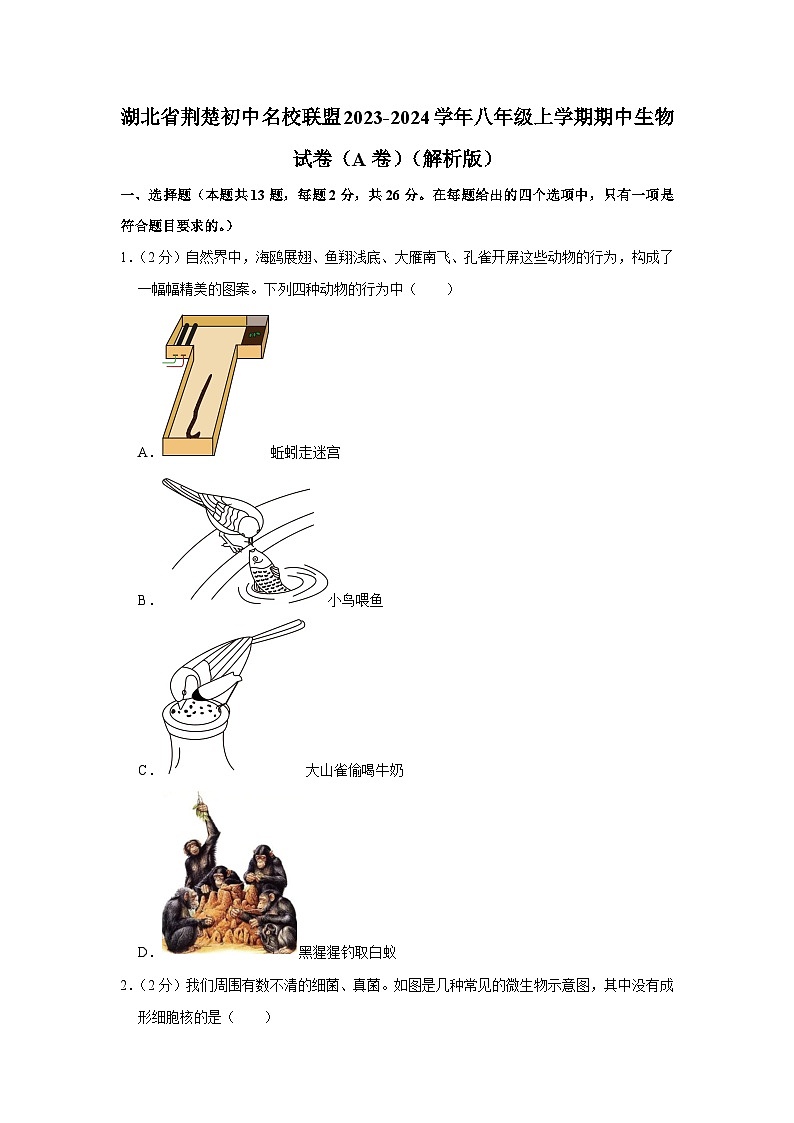 湖北省荆楚初中名校联盟2023-2024学年八年级上学期期中生物试卷（A卷）01